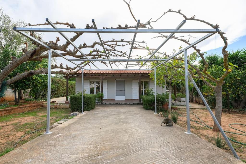 Farmbill Villa Markopoulo Mesogaias Exterior photo